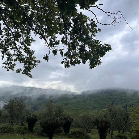 Podere Sagna Castellina in Chianti Dış mekan fotoğraf