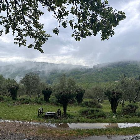 Podere Sagna Castellina in Chianti Dış mekan fotoğraf