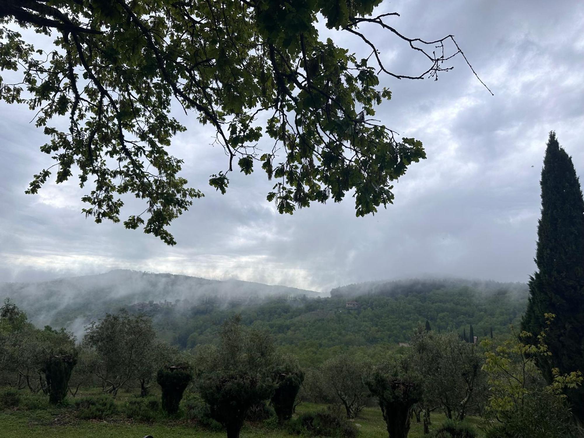 Podere Sagna Castellina in Chianti Dış mekan fotoğraf