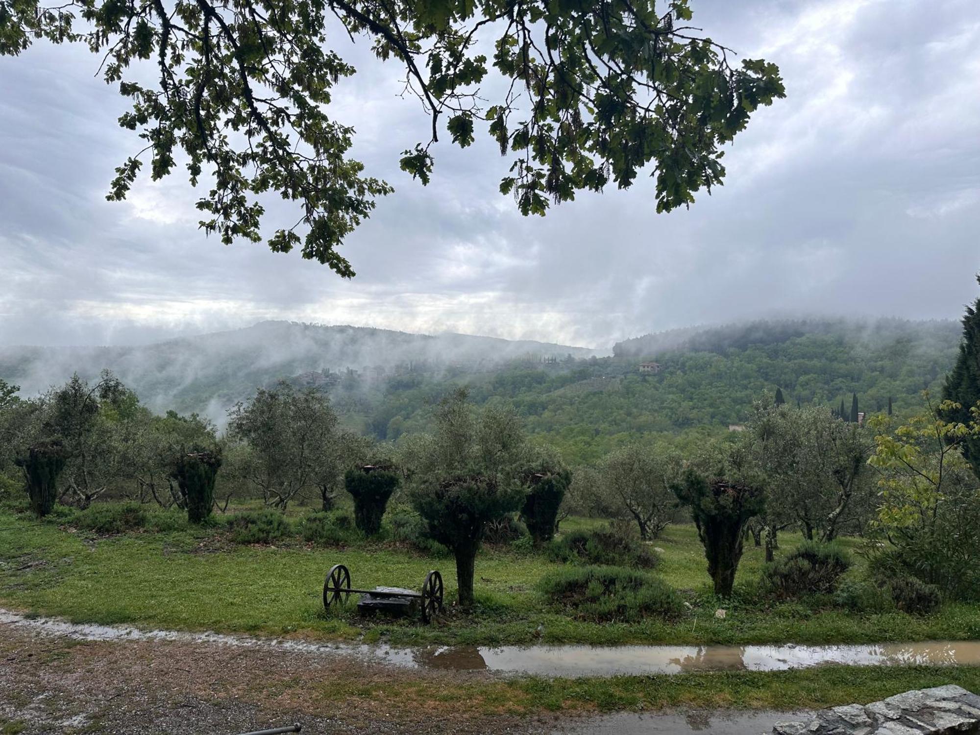 Podere Sagna Castellina in Chianti Dış mekan fotoğraf