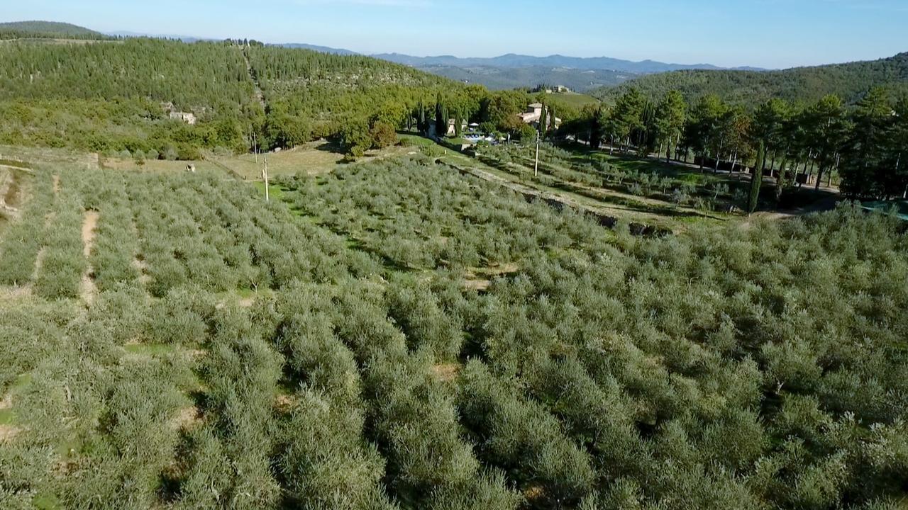 Podere Sagna Castellina in Chianti Dış mekan fotoğraf
